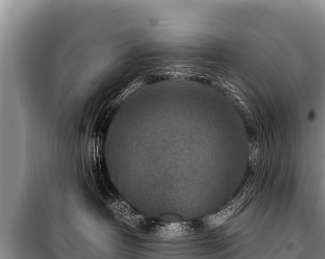 X0000100860382200806271205