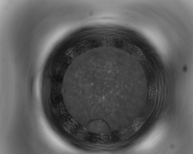 X0000100860383200806271205