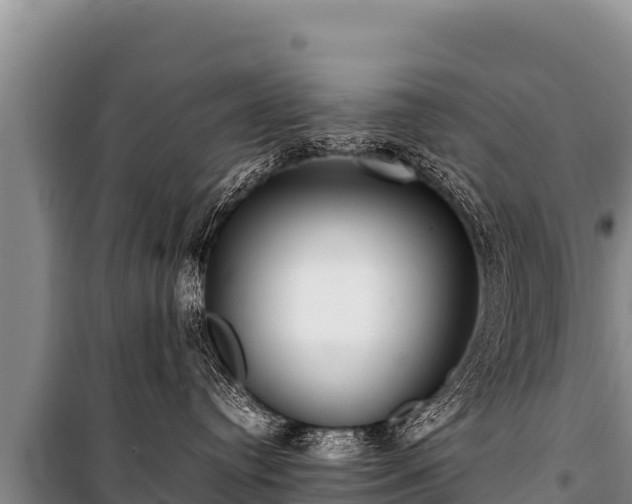 X0000100860384200806271205