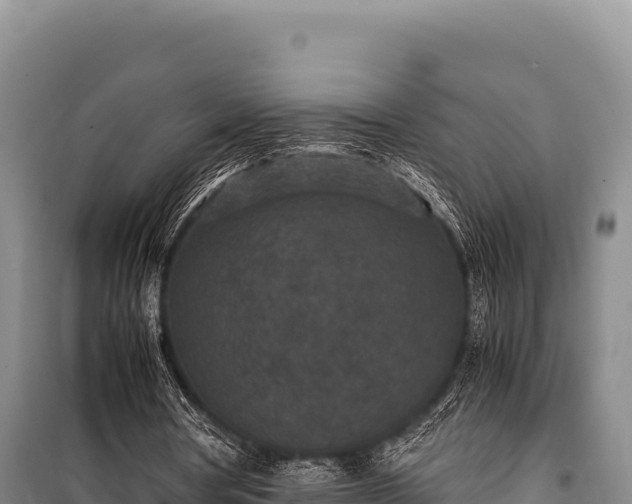 X0000100860386200806271205