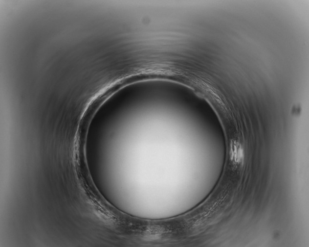 X0000100860388200806271205