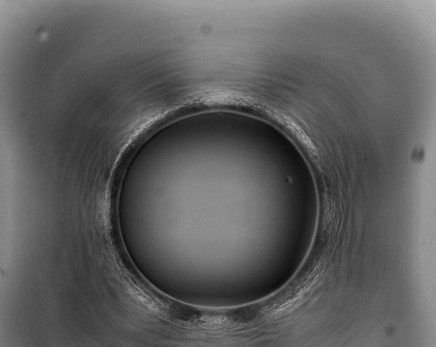 X0000100860391200806271205