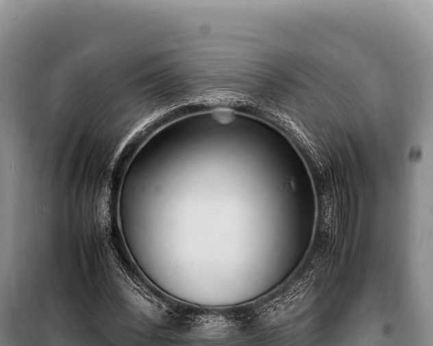 X0000100860392200806271205