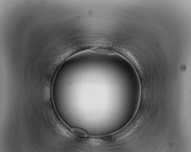 X0000100860393200806271205