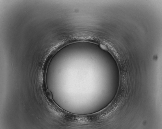 X0000100860395200806271205