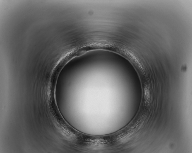 X0000100860396200806271205