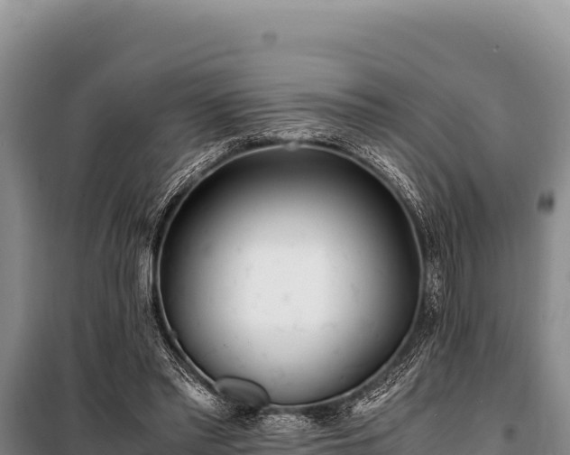 X0000100860397200806271205