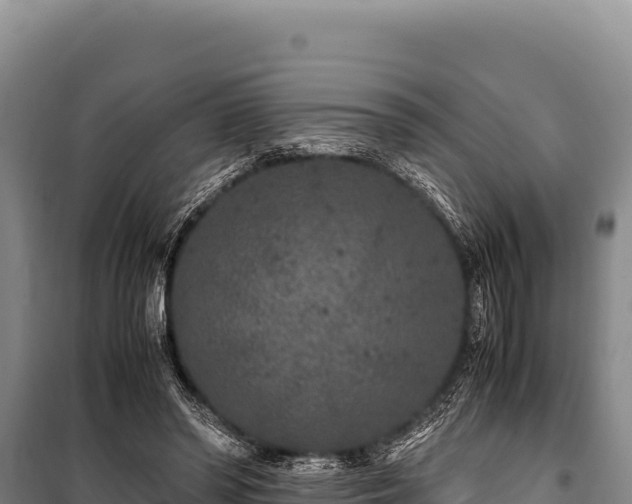 X0000100860398200806271205