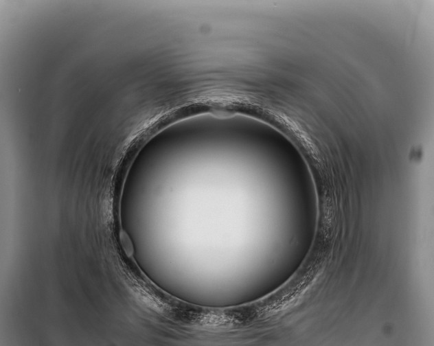 X0000100860399200806271205