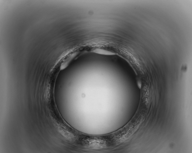 X0000100860400200806271205