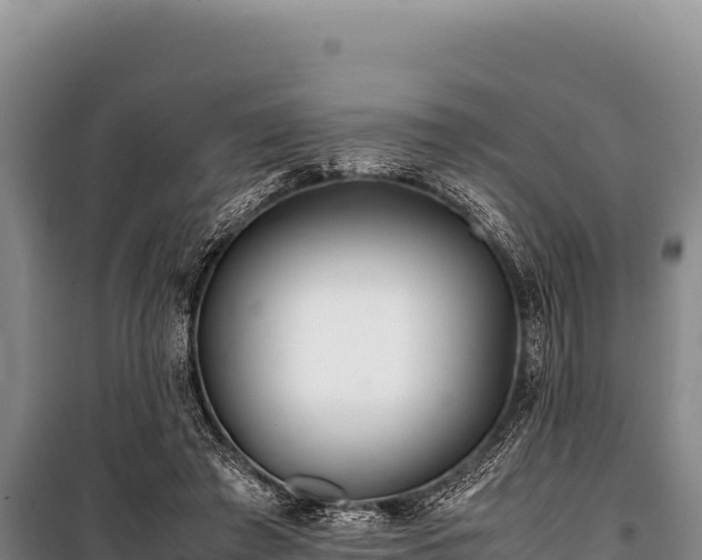 X0000100860401200806271205