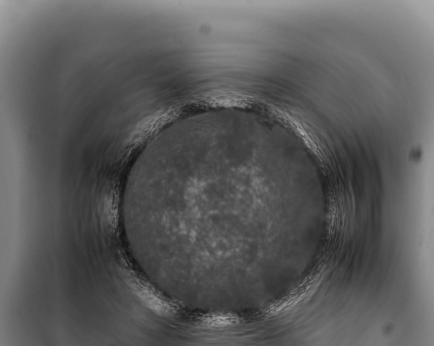 X0000100860402200806271205