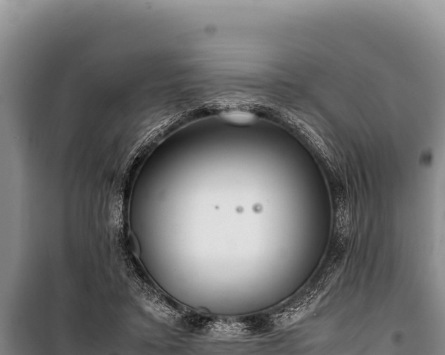 X0000100860403200806271205