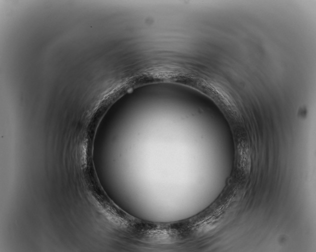 X0000100860404200806271205