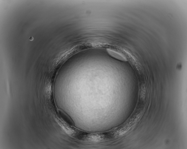 X0000100860405200806271204