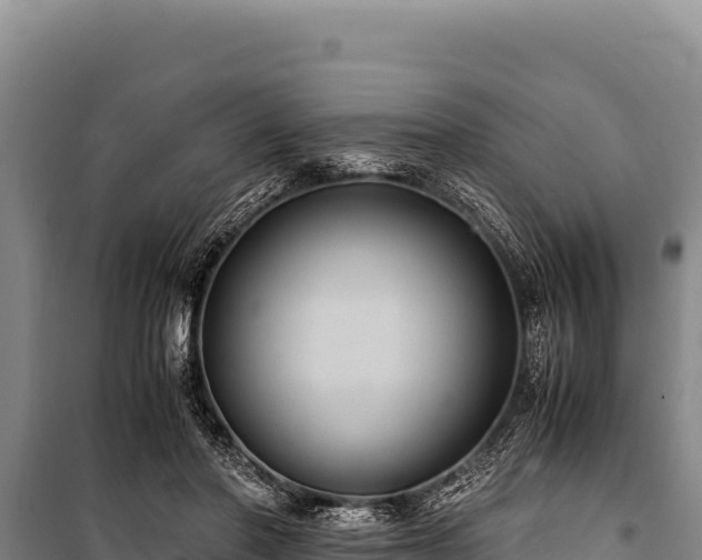 X0000100860406200806271204