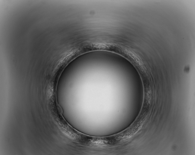 X0000100860407200806271204