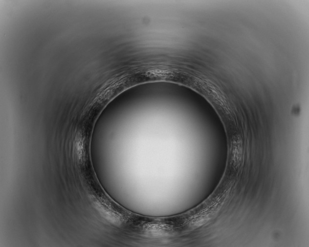 X0000100860408200806271204