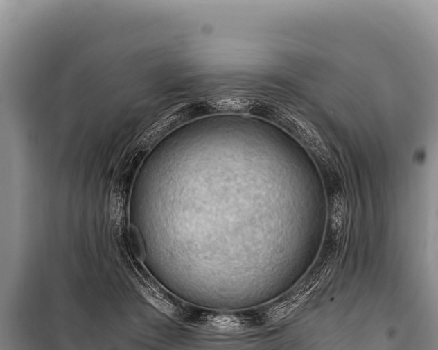 X0000100860409200806271204