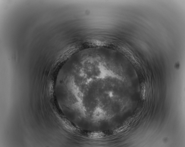 X0000100860410200806271204