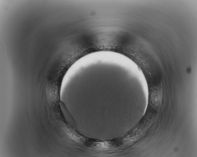 X0000100860411200806271204