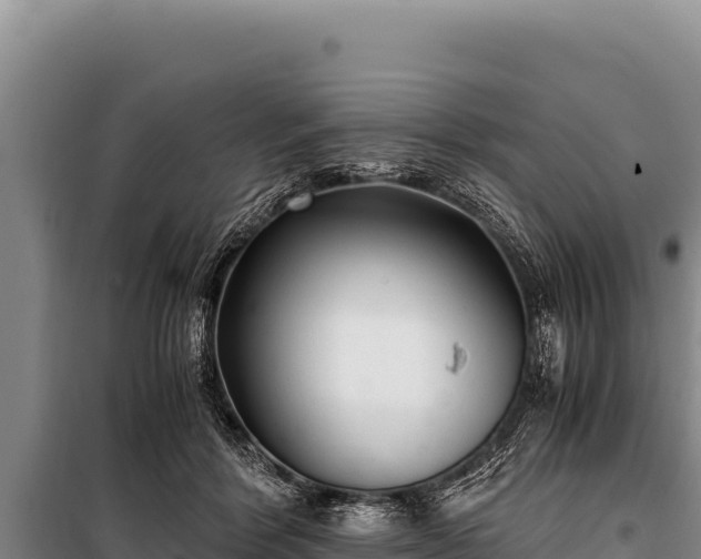 X0000100860412200806271204