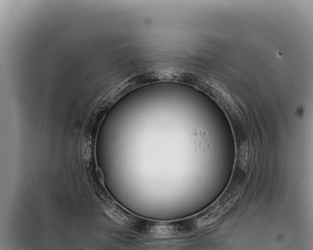 X0000100860413200806271204