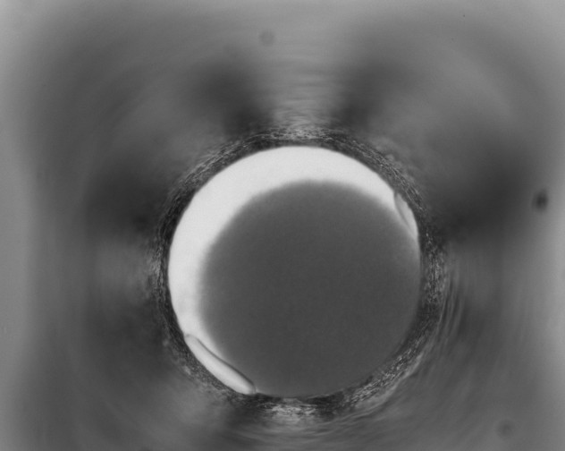 X0000100860415200806271204