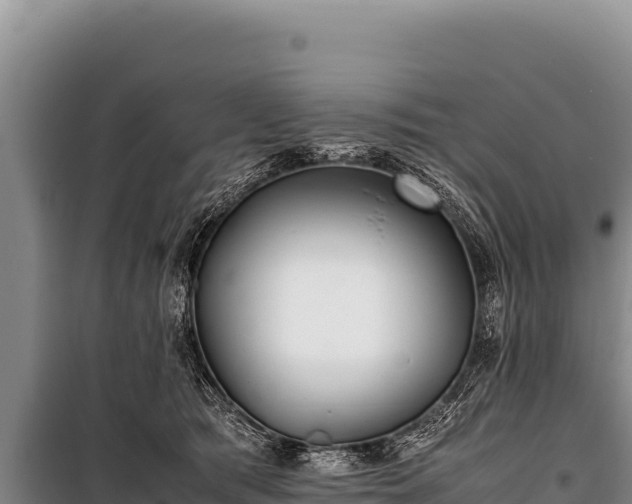 X0000100860417200806271204