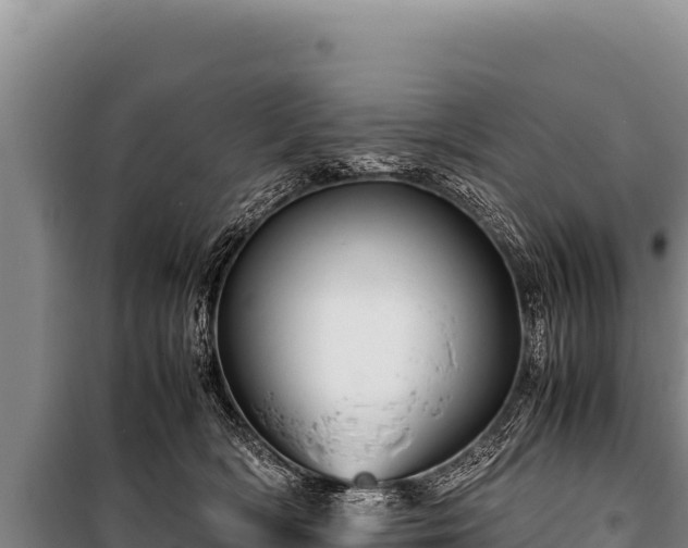 X0000100860418200806271204