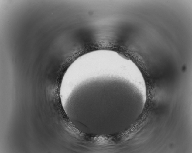 X0000100860419200806271204