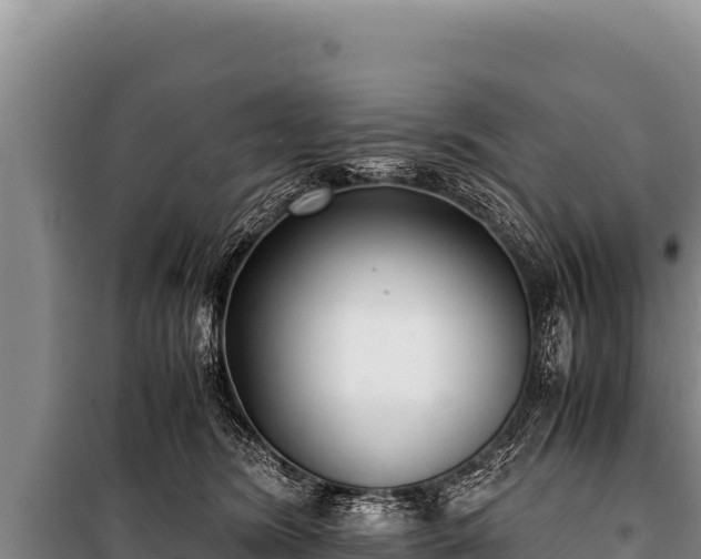 X0000100860420200806271204