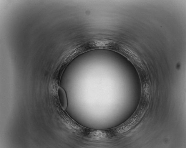 X0000100860421200806271204