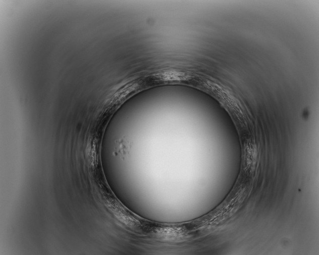 X0000100860422200806271204