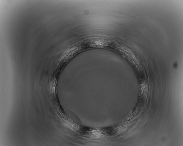 X0000100860423200806271204