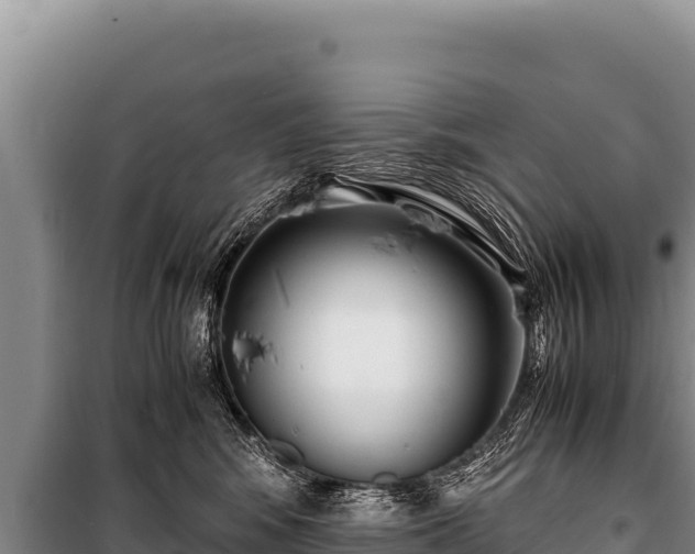 X0000100860424200806271204