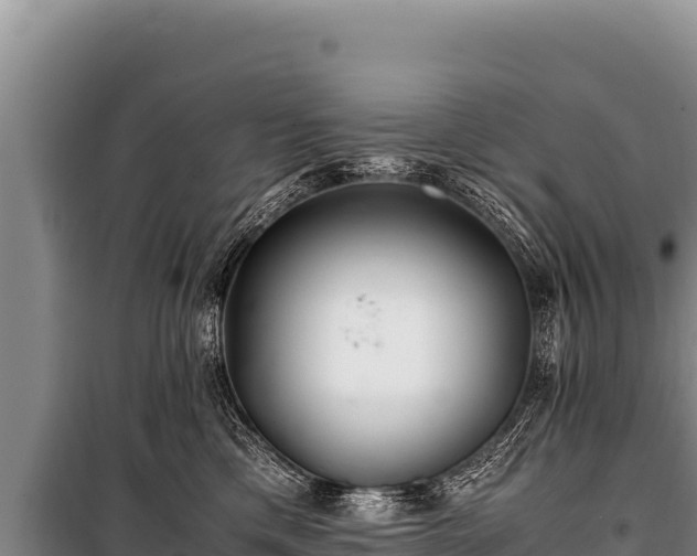 X0000100860425200806271204