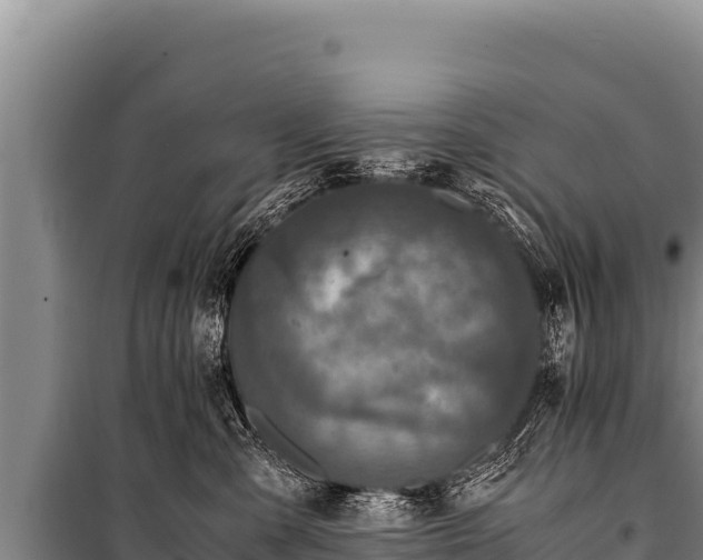 X0000100860427200806271204