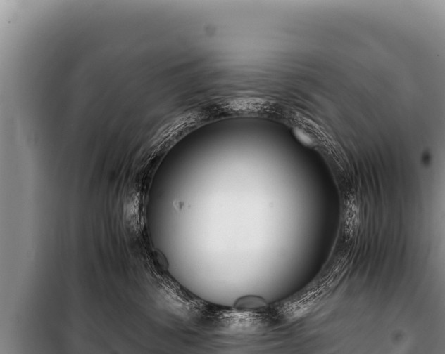 X0000100860428200806271204