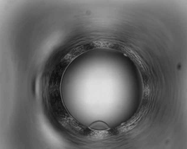 X0000100860429200806271204