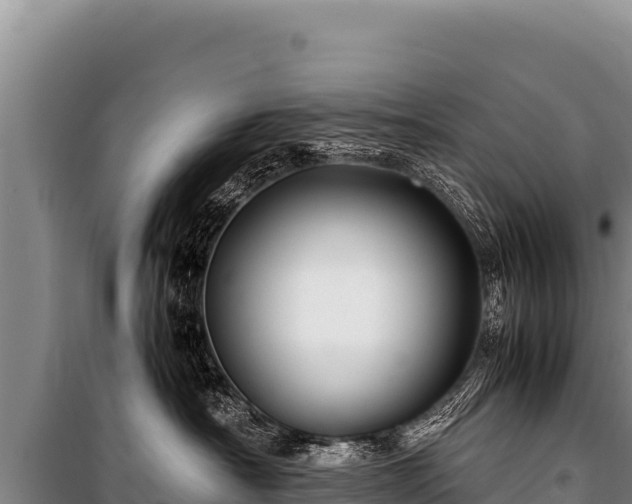 X0000100860430200806271204