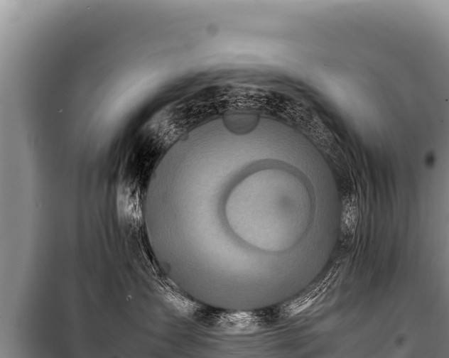 X0000100860431200806271204