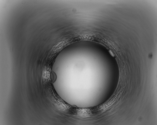 X0000100860432200806271204