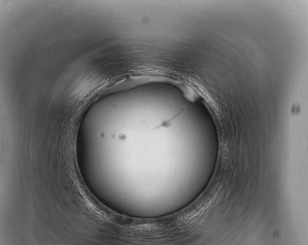 X0000100860433200806271203