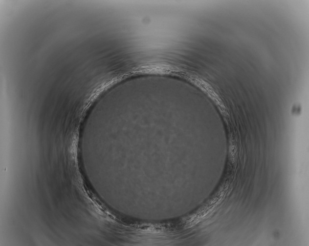 X0000100860434200806271203