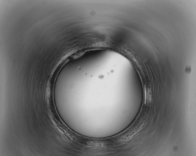 X0000100860435200806271203