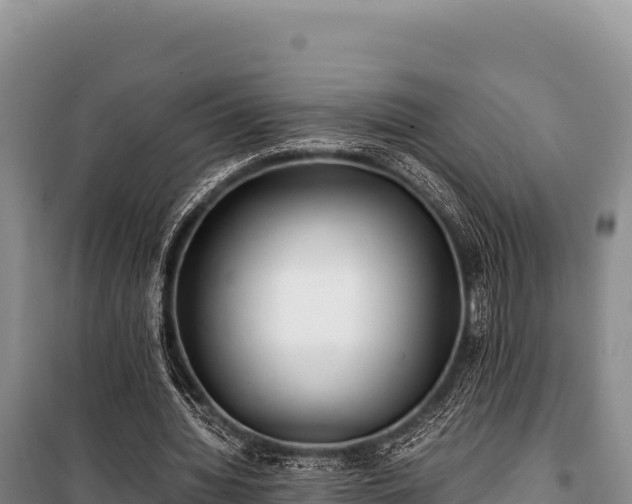 X0000100860436200806271203