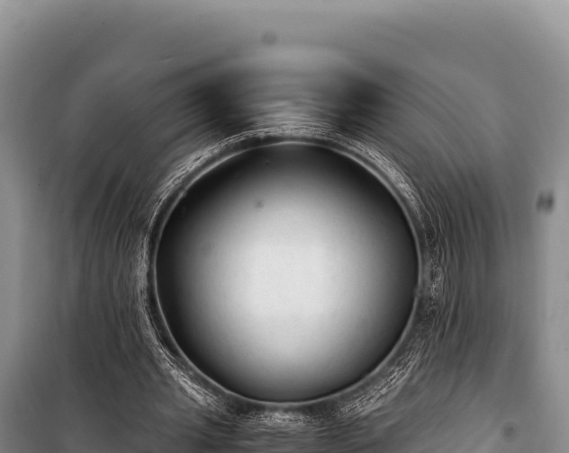 X0000100860437200806271203