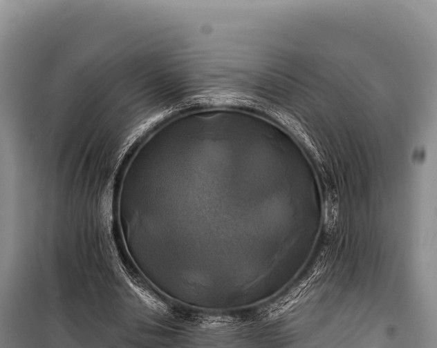 X0000100860438200806271203