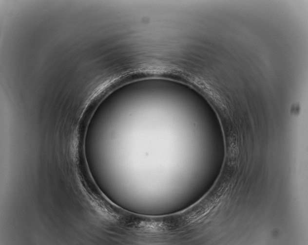 X0000100860440200806271204